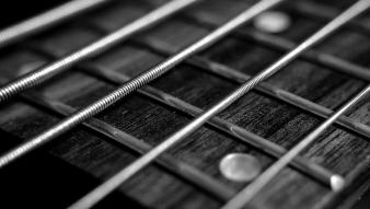 gitara basowa